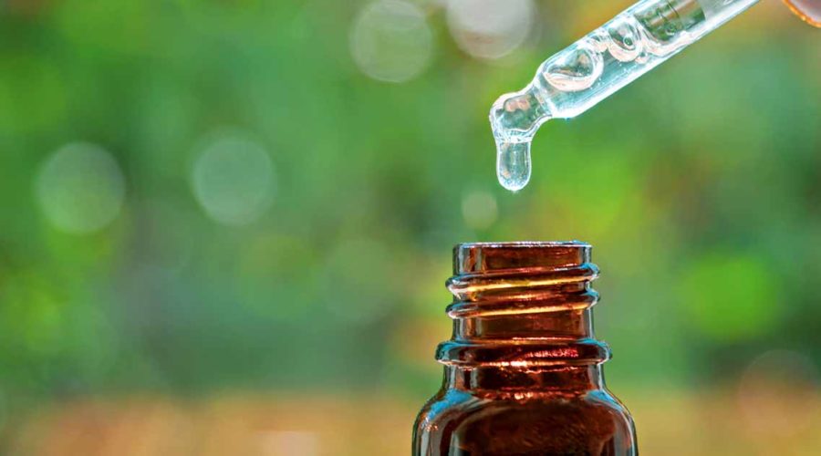 The Uses and Benefits of Melissa Essential Oil
