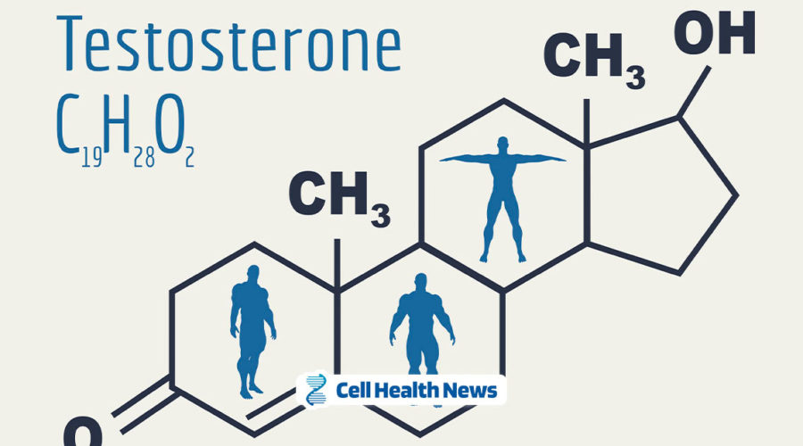 foods-that-boost-testosterone