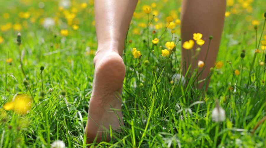 The Science Behind Earthing: How Grounding Improves Health