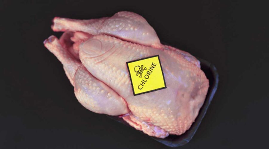 The Truth About Chlorine-Washed Chicken in the U.S.