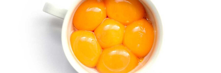 Understanding Egg Quality Beyond Color