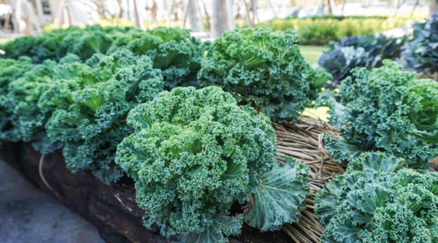 Exploring the Potential Health Concerns of Consuming Raw Kale