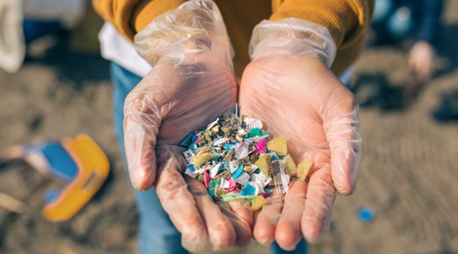 Detoxing from Microplastics: Steps to Reduce Our Ingestion and Exposure