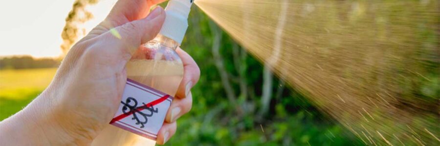 The Advantages of Natural Bug Repellents over Chemical-Based Alternatives