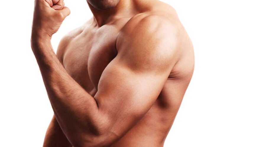 Unlocking the Holistic Benefits of Muscle Building
