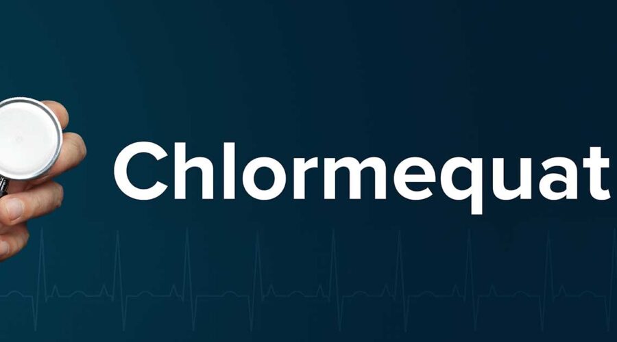 Chlormequat: Health and Environmental Risks