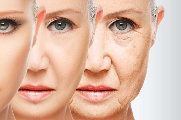 Toxin Effects on Aging: Youthful Strategies
