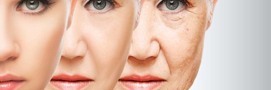 Toxin Effects on Aging: Youthful Strategies