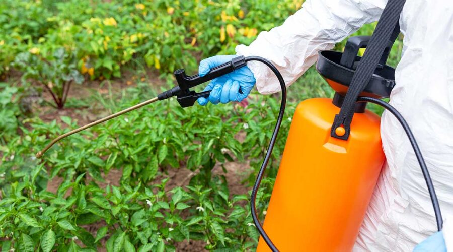 Is Glyphosate Safe? Everywhere We Look