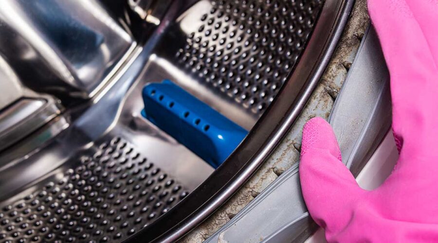 Combatting Mold in Your Washing Machine