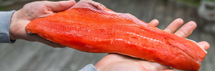 Why Wild-Caught Salmon Is the Healthier Choice