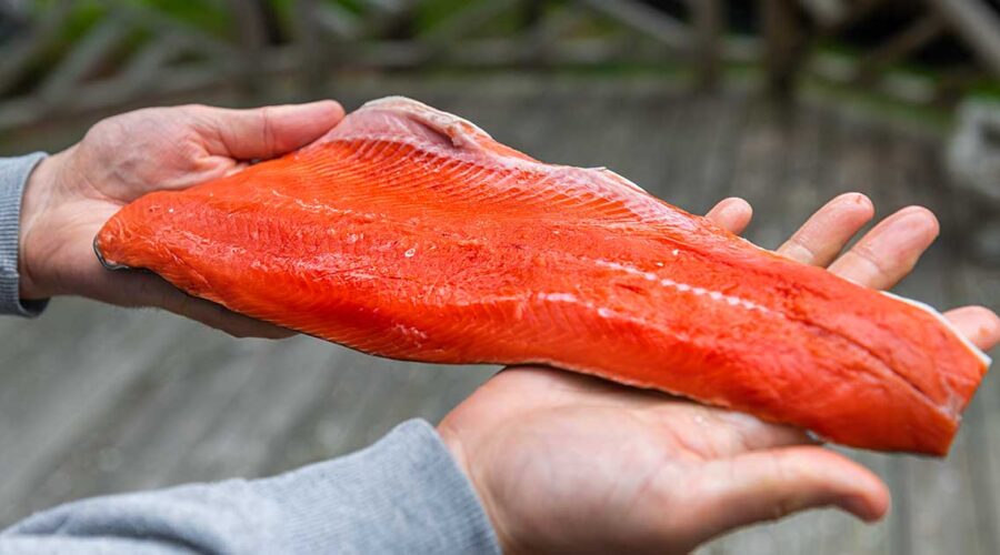 Why Wild-Caught Salmon Is the Healthier Choice