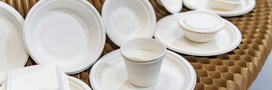 How Styrofoam Plates and Cups Impact Your Health