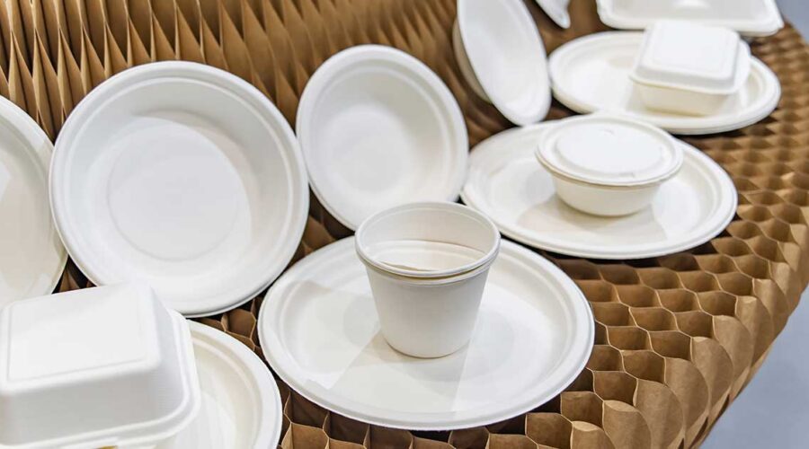 How Styrofoam Plates and Cups Impact Your Health