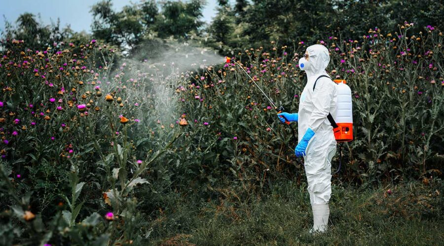 The Hidden Dangers of Glyphosate