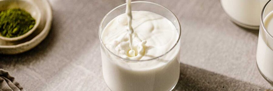 A2 Milk: A Digestive-Friendly Dairy Alternative