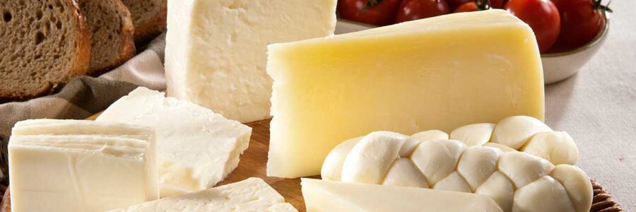 GMO in Your Cheese: What It Means for Your Health