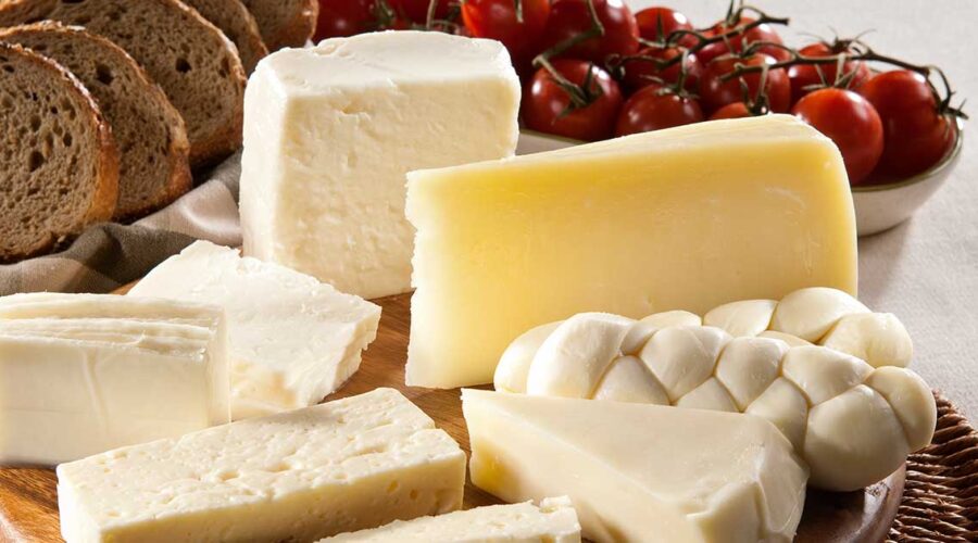 GMO in Your Cheese: What It Means for Your Health