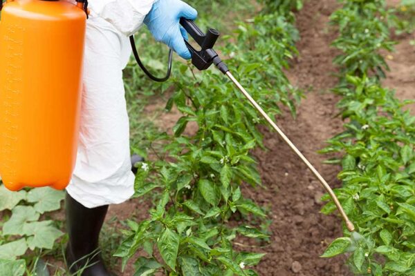 Glyphosate’s Hidden Threat to Gut and Brain Health