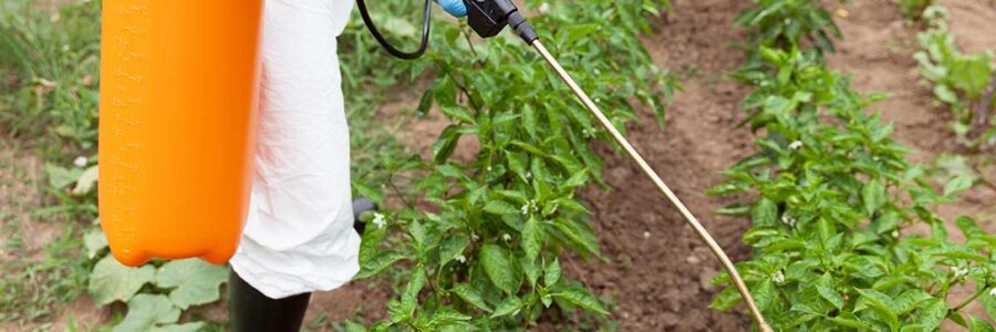 Glyphosate’s Hidden Threat to Gut and Brain Health