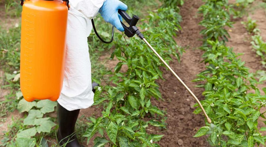 Glyphosate’s Hidden Threat to Gut and Brain Health