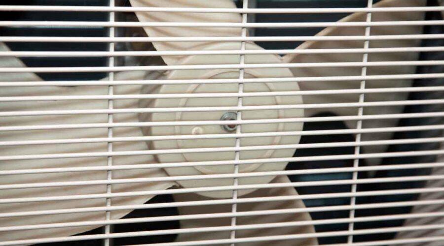Budget-Friendly Air Purification