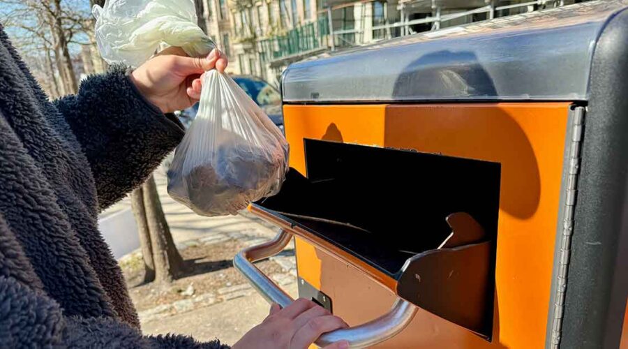 The Hidden Dangers of Compostable Plastic Bags