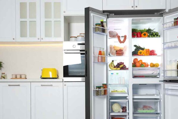 Is Your Refrigerator Emitting Harmful EMFs?