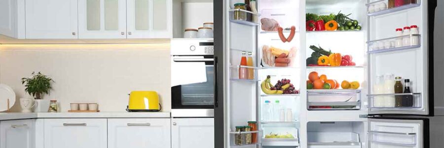 Is Your Refrigerator Emitting Harmful EMFs?