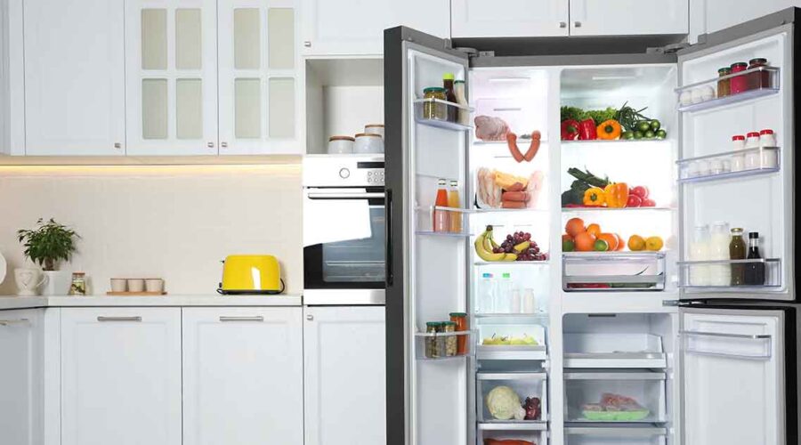 Is Your Refrigerator Emitting Harmful EMFs?