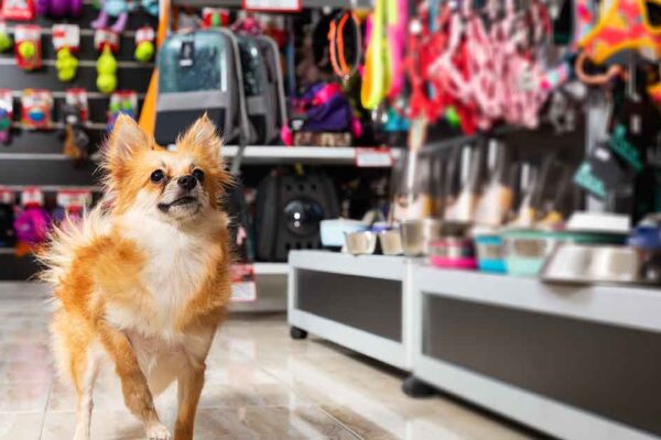 The Hidden Dangers in Pet Store Aisles