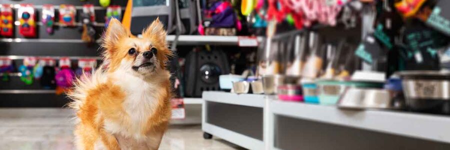 The Hidden Dangers in Pet Store Aisles