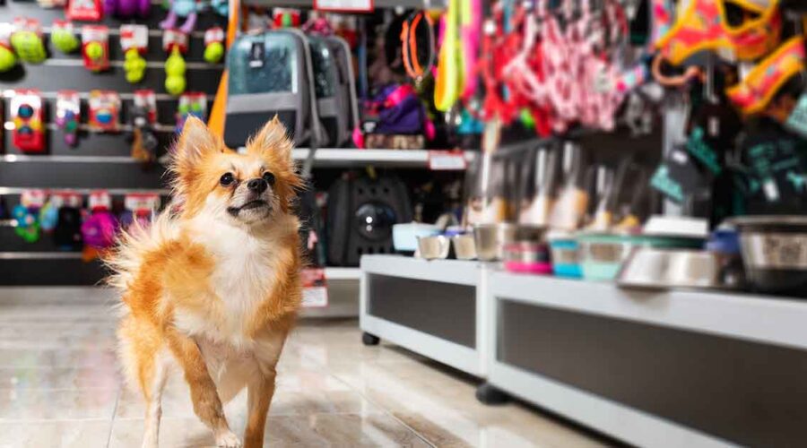The Hidden Dangers in Pet Store Aisles