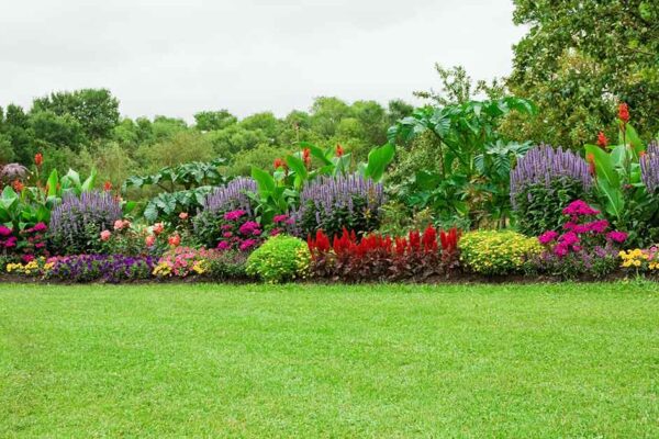 Why Your Lawn Routine Might Be Harming You