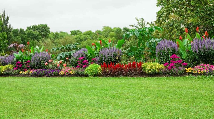 Why Your Lawn Routine Might Be Harming You