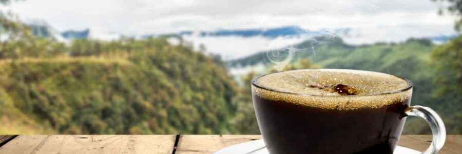 Costco Coffee: A Healthier Guide