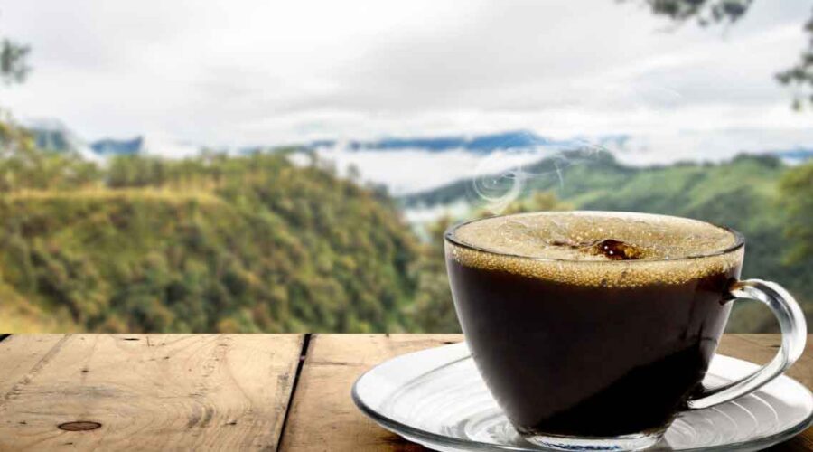 Costco Coffee: A Healthier Guide