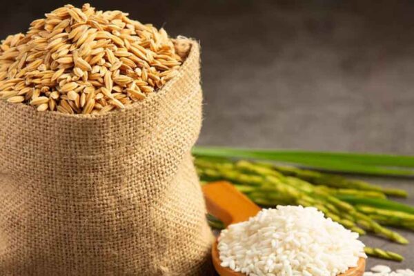 The Hidden Dangers in Bulk Rice