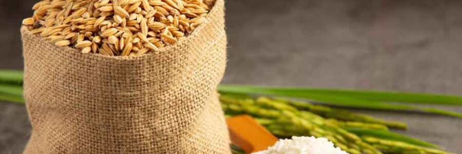 The Hidden Dangers in Bulk Rice