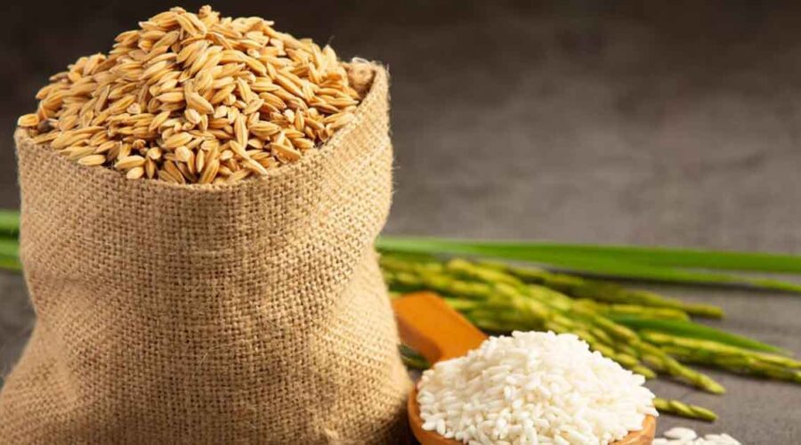 The Hidden Dangers in Bulk Rice