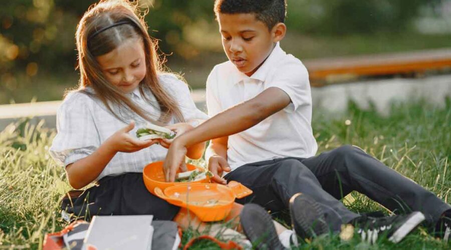 The Hidden Dangers Lurking in School Lunches