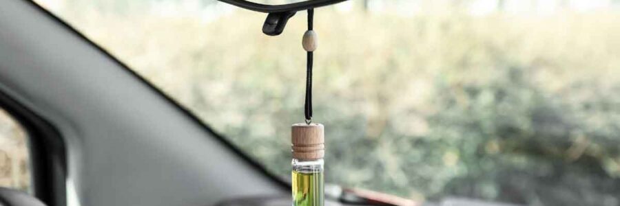 The Hidden Dangers of Car Air Fresheners