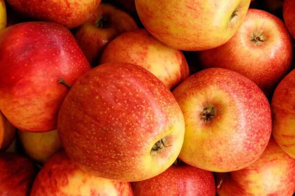 Beyond the Shine: The Truth About Apple Wax