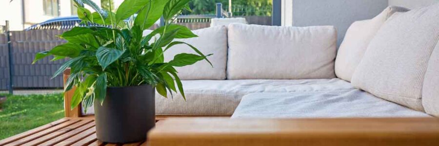 Better Breathing Starts with Indoor Air Quality