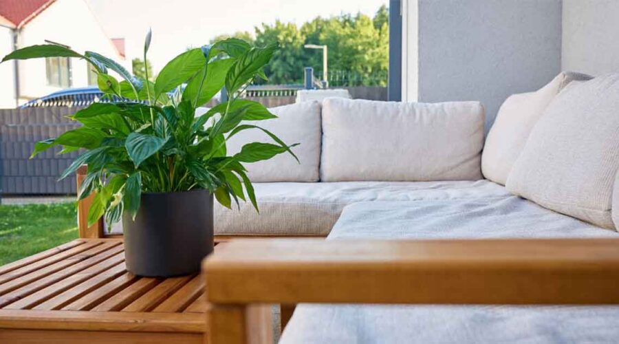 Better Breathing Starts with Indoor Air Quality