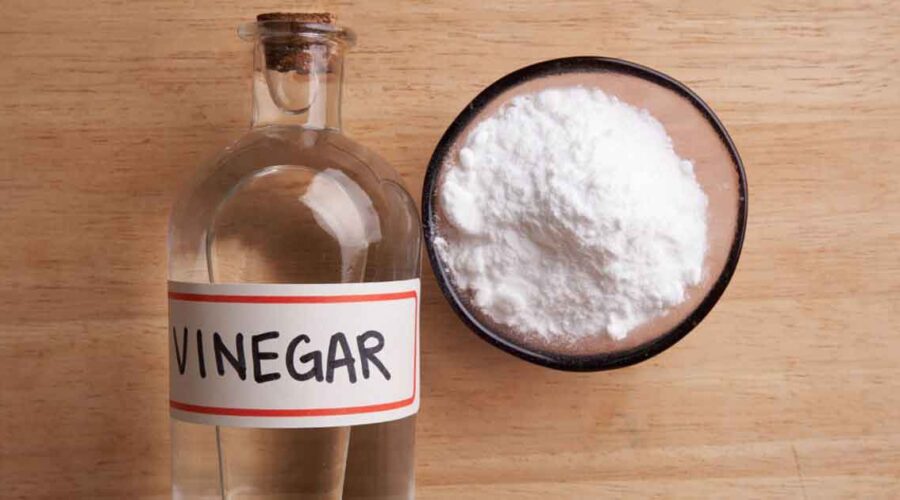 Vinegar: A Low-Tox Cleaning Essential