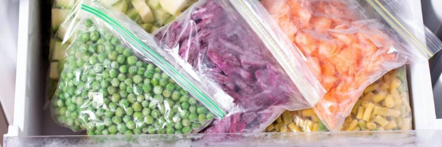 The Hidden Costs of Freezing Food in Plastic Bags