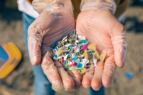 The Biggest Sources of Microplastics in the Kitchen