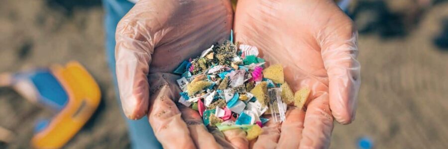 The Biggest Sources of Microplastics in the Kitchen