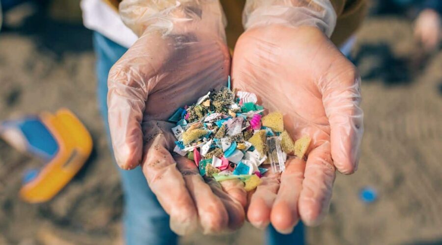 The Biggest Sources of Microplastics in the Kitchen